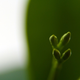 Illustration for article titled 264 Stupendous Spring Wallpapers